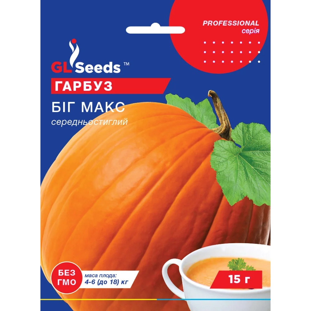 Насіння Гарбуз Біг Макс GL Seeds 15г (Professional2419)