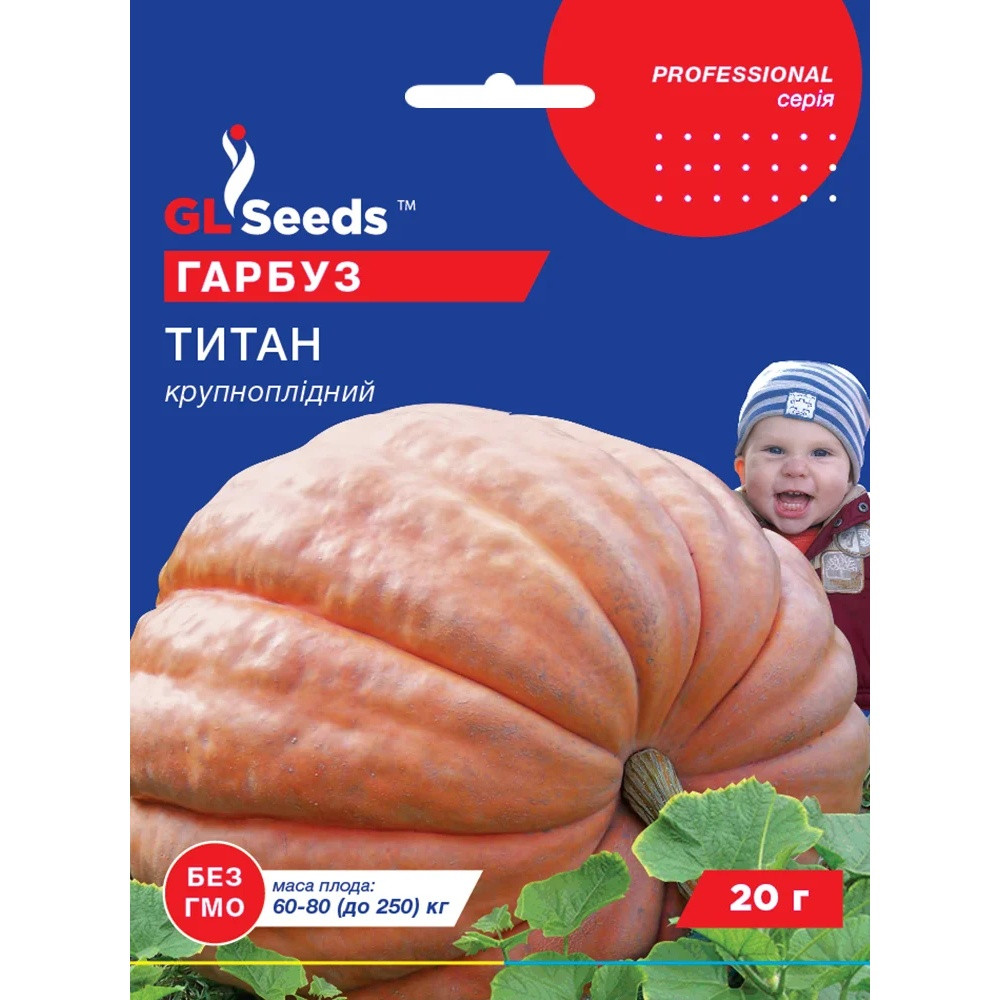 Насіння Гарбуз Титан GL Seeds 15г (Professional293), фото 1