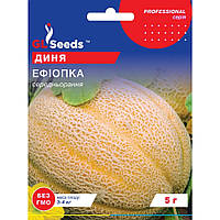 Семена Дыня Эфиопка GL Seeds 5г (Professional2185)