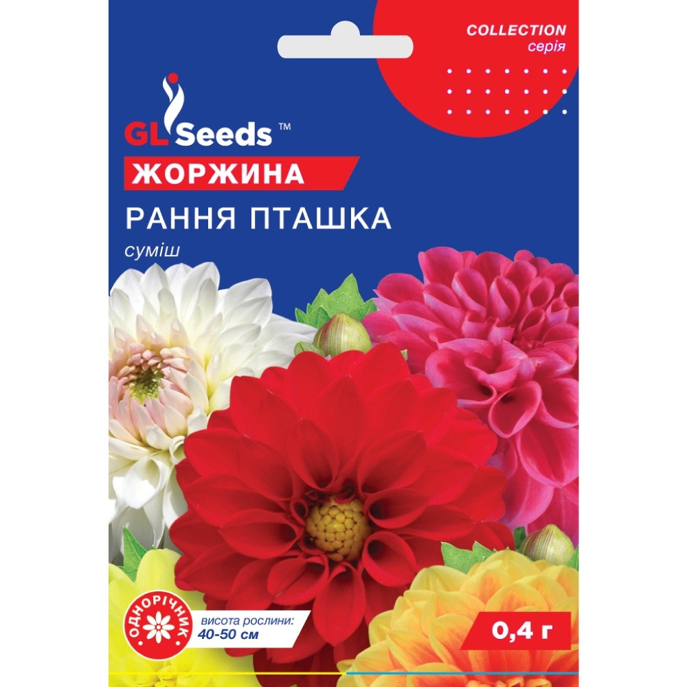 Насіння Жоржина Рання пташка GL Seeds 0.4г (collection1225)