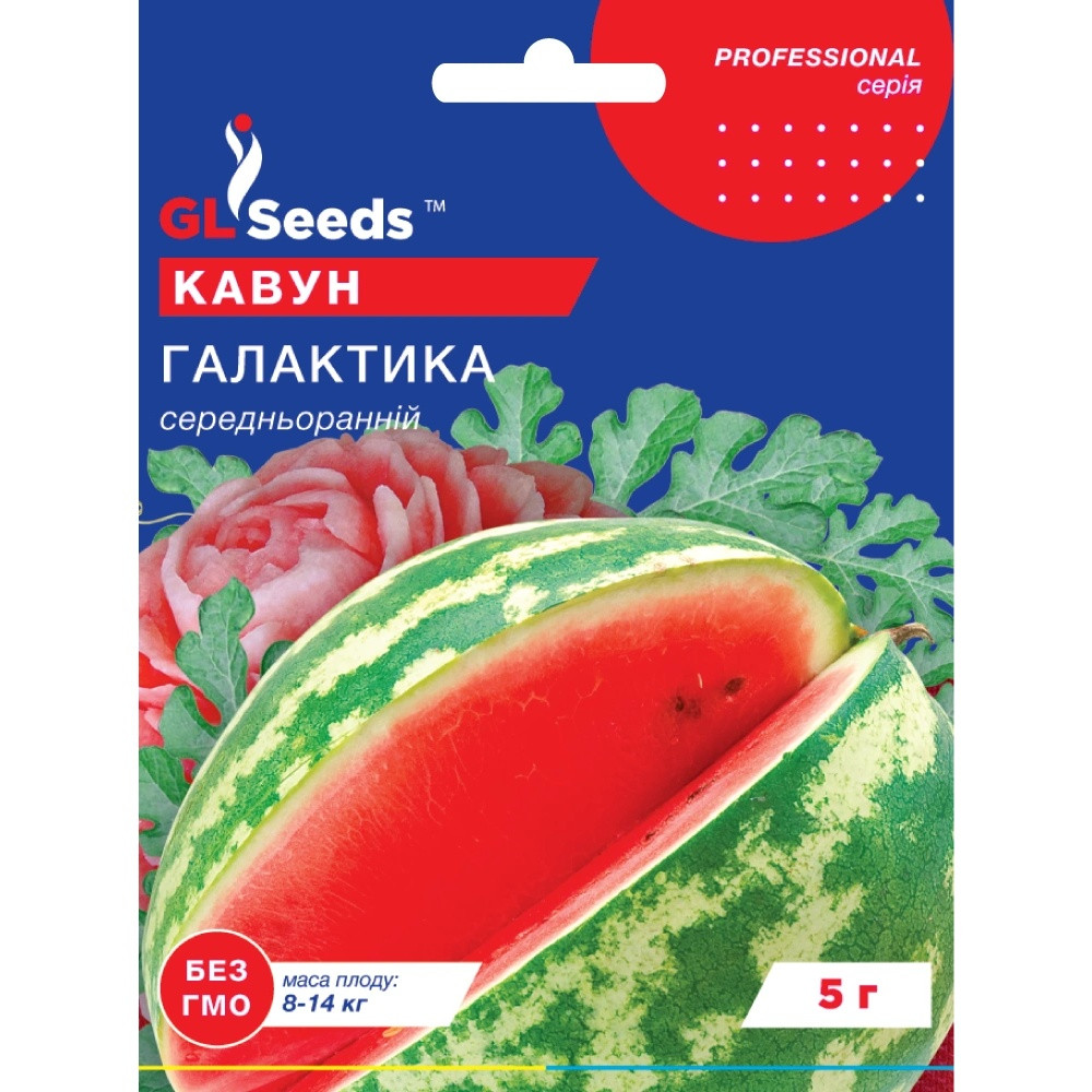 Насіння Кавун Галактика GL Seeds 5г (Professional271)