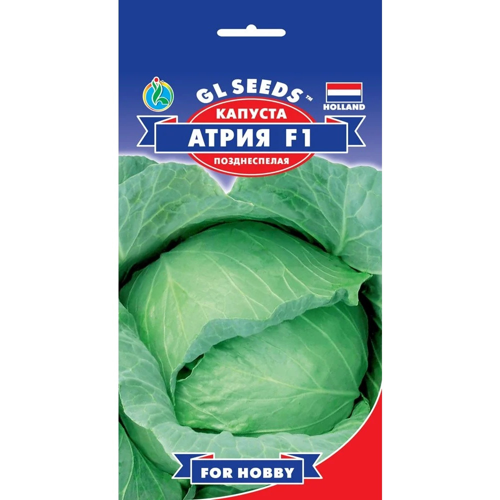 Насіння Капуста білокачанна Атрія F1 Голандія GL Seeds 50шт (For Hobby367), фото 1