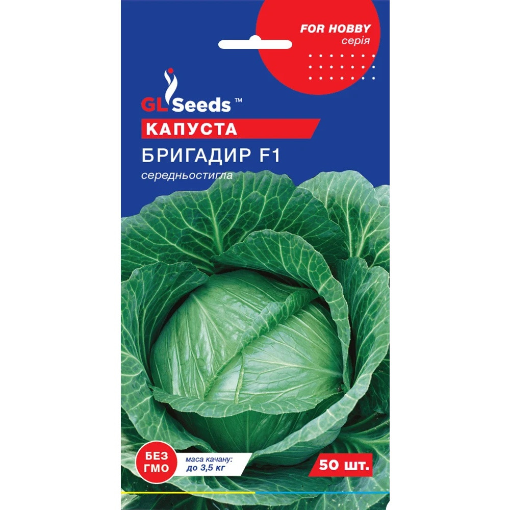 Насіння Капуста білокачанна Бригадир F1 Голандія GL Seeds 50шт (For Hobby2287), фото 1
