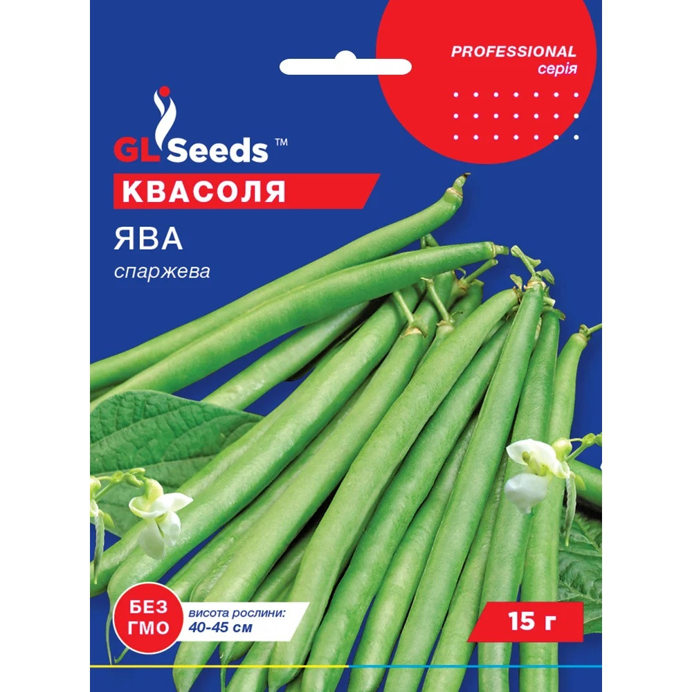 Насіння Квасоля спаржева Ява зелена кущова GL Seeds 15г (Professional319), фото 1