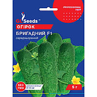 Семена Огурец гибрид Бригадный F1 GL Seeds 5г (Professional38)
