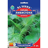 Семена Пальма китайская Ливистона. GL Seeds 5шт (collection1257)