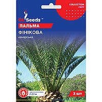 Семена Пальма финиковая Канарская GL Seeds 3шт (collection1258)