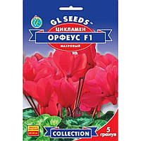 Семена Цикламен F1 Орфеус GL Seeds 5шт (collection1335)