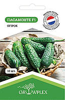 Семена огурца Пасамонте F1 10шт (Syngenta) ТМ GROWPLEX