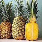 Саджанці Ананаса Кайєна (Ananas Сayenne) Р9, фото 3