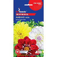 Семена Георгина Анвинс GL Seeds 0.5г (For Hobby975)