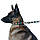 Повідець для Собак Bronzedog Urban Нейлоновий 3 метри Ромби L, фото 4