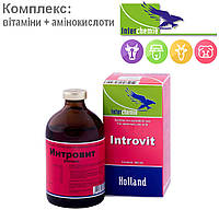 Интровит 100 мл комплекс витамин и аминокислот для животных