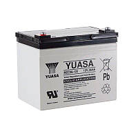 Аккумулятор Yuasa REC36-12I 12V 36Ah