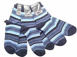 Шкарпетки чоловічі смугасті D9054 сині