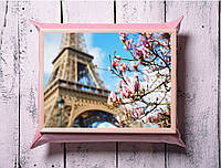 Поднос с подушкой Весна в Париже (F-S)