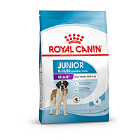 Royal Canin Giant Junior 15 кг сухой корм для собак (047196-24) NY