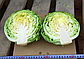Капуста б/г Голден Бол F1 20 шт (ГН), фото 2