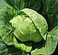 Капуста б/г Голден Бол F1 20 шт (ГН), фото 3