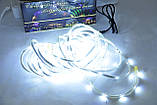 Світлодіодна LED cтрічка LED Star X-Mas 12V 5 метрів, фото 3