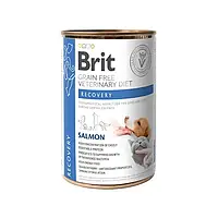 Brit Grain Free Veterinary Diet Recovery Salmon 400 г лечебный влажный корм для собак и котов (169993-24) NY