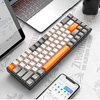 Бездротова клавіатура ZIYOULANG K68 | 2.4G, Bluetooth | 68 клавіш