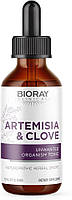 Bioray Artemisia Clove / Биорэй Полынь и гвоздика Антипаразитарная формула 59 мл