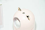 Дифузор зволожувач повітря ароматизатор Humidifier H2O CAT Rose, фото 6