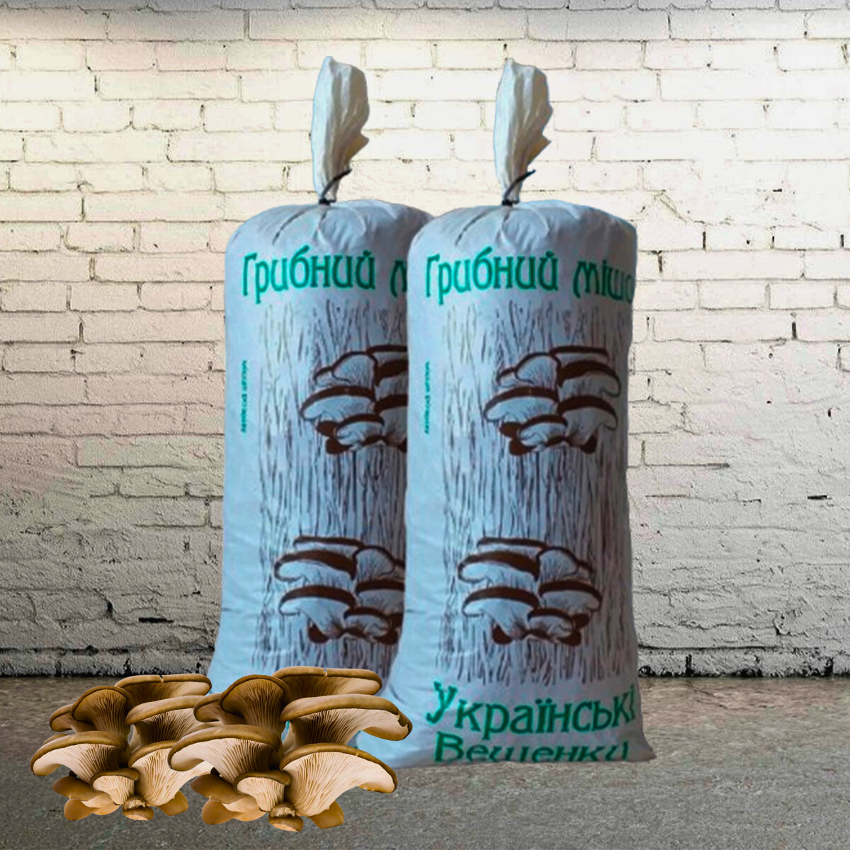 Набір для вирощування "Українська Глива" ( 2 мішечка )