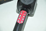 Bluetooth караоке мікрофон Wster Tofu WS-1816 Black, фото 4