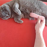 Тример для стрижки тварин TPA ZX882 машинка для стрижки животных, фото 2