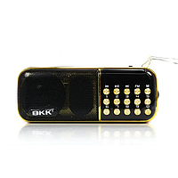 Радиоприёмник с FM MicroSD BKK B851 радио на аккумуляторе 18650 радио gr