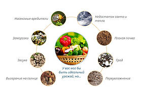 Парник AGREEN proffessional 10 метров 50Г/М2, фото 4