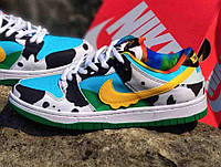 Nike SB Dunk 'Ben & Jerry's'