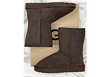 UGG brown