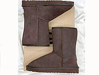 UGG brown