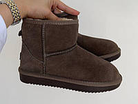 UGG CLASSIC MINI CHOCOLATE