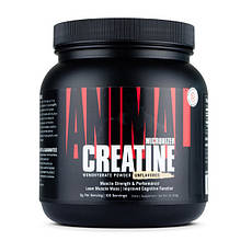 Creatine (500 g, unflavored)