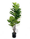 Фікус Лірата (Ficus lyrata) штучний у горщику 120 см