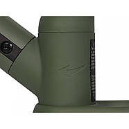 Складаний біговіл дитячий Colibro Ciao R/CO/FG Forest Green зелений, фото 5