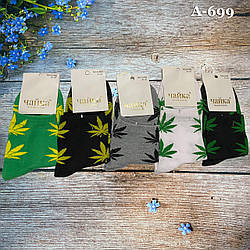 Чоловічі шкарпетки з конопляним волокном Розмір: 41- 47 см (15541)