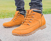 Мужские ботинки Timberland - Ginger