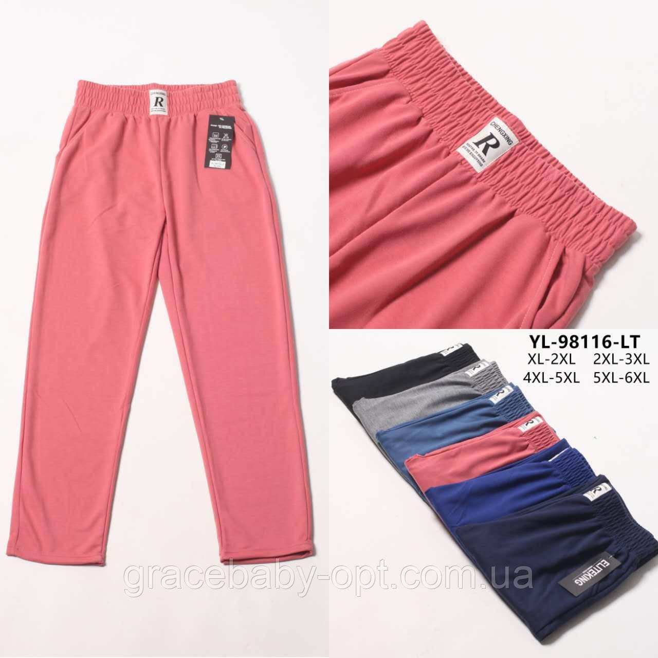 Спортивні штани жіночі оптом, XL/2XL-5XL/6XL pp, № Hay-YL-98116-LT