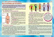 100 та 1 запитання й відповідь про ЦЕ. Усе, про що підлітки соромляться говорити з дорослими, фото 3