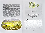Класичні романи. Енн із Зелених Дахів, фото 7
