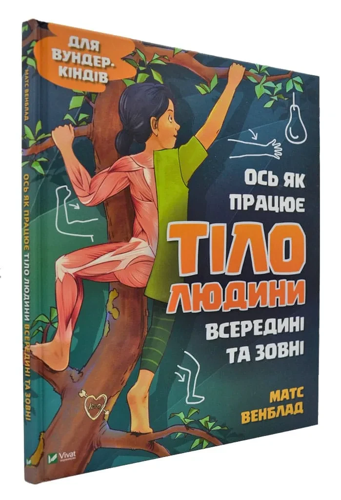 Ось як працює тіло людини всередині та зовні