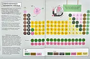 Елементарно! Науковий детектив, фото 5