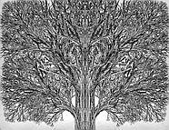 Єдиний Істинний король. Книга 6. Школа Добра і Зла, фото 3