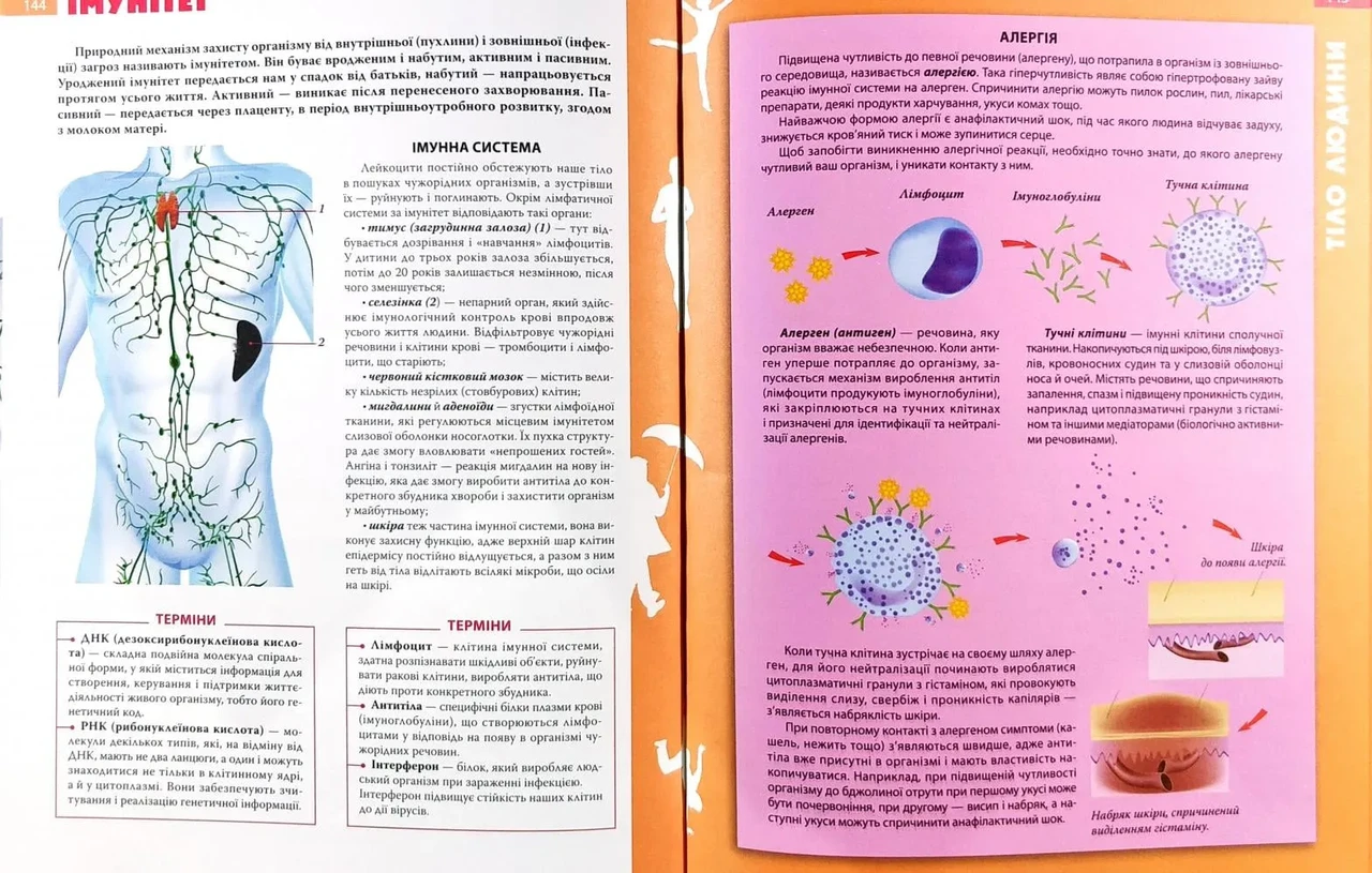 Энциклопедия необходимых знаний школьника - фото 8 - id-p1671424912