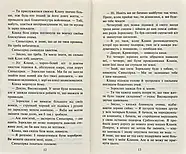 Коти-Вояки. Нове пророцтво починається. Книга 5. Сутінки, фото 3